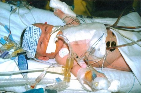 Entry image for Hailey. Clicking this image will show a larger photo