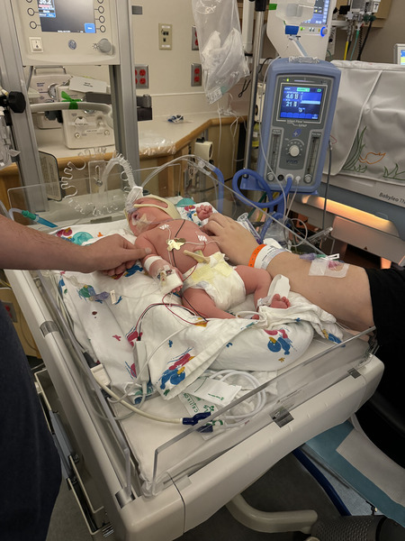 Entry image for Evelyn. Clicking this image will show a larger photo