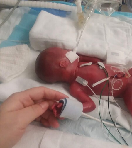 Entry image for Layla. Clicking this image will show a larger photo