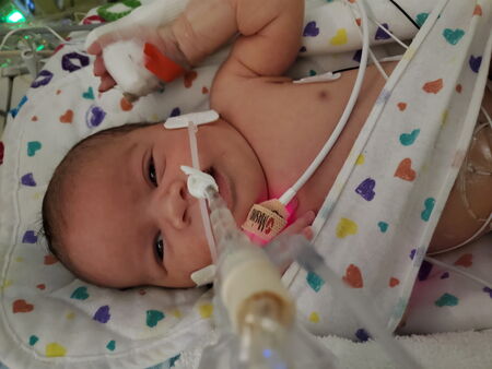 Entry image for Keira. Clicking this image will show a larger photo
