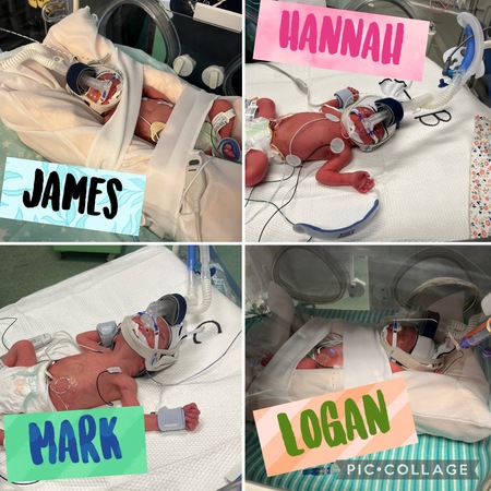 Entry image for James, Hannah, Mark, and Logan . Clicking this image will show a larger photo