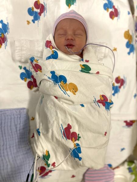 Entry image for Oliver. Clicking this image will show a larger photo