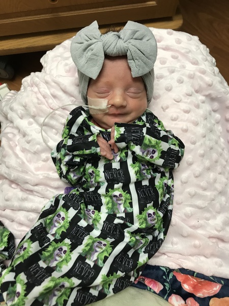 Entry image for Zoey. Clicking this image will show a larger photo