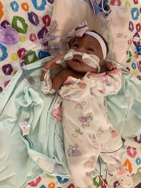 Entry image for Daelynn. Clicking this image will show a larger photo