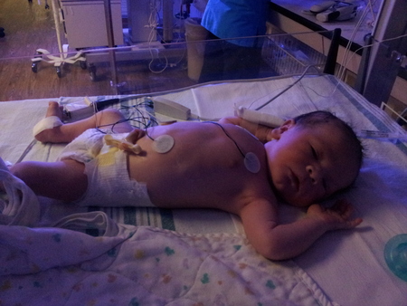 Entry image for Evan. Clicking this image will show a larger photo