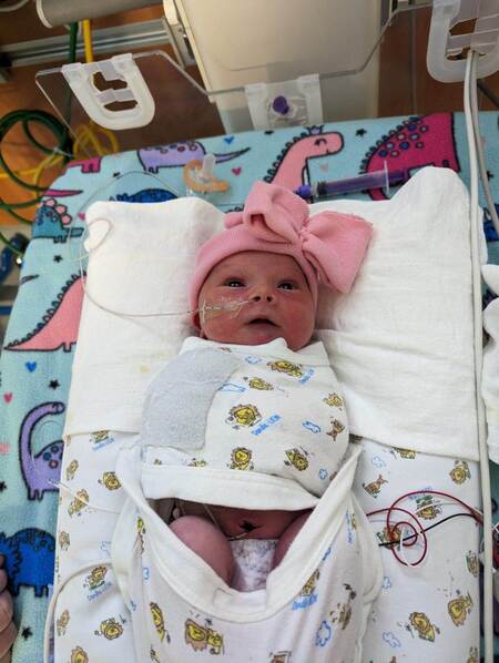 Entry image for Reagan . Clicking this image will show a larger photo