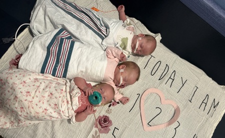 Entry image for Victoria, Elizabeth & Lily . Clicking this image will show a larger photo