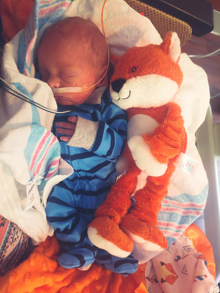Entry image for Ezra. Clicking this image will show a larger photo