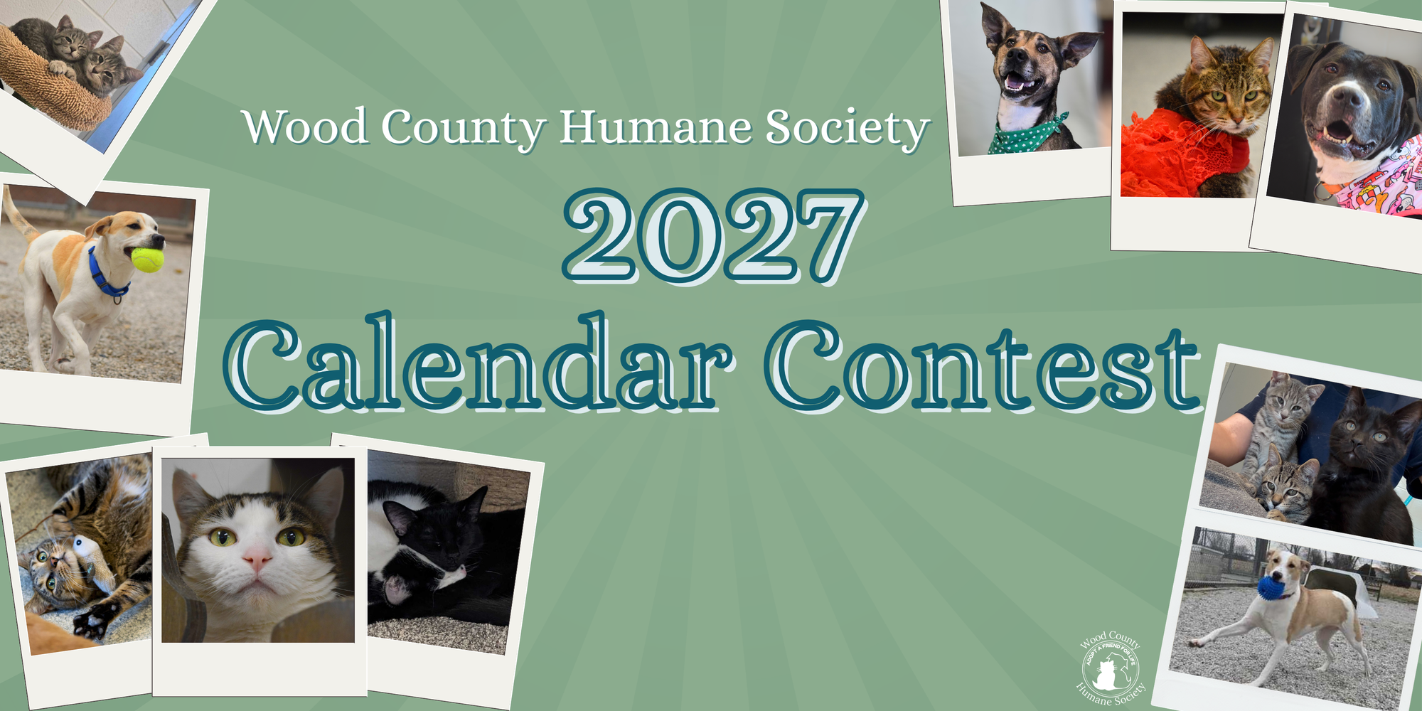 Banner for Wood County Humane Society's 2027 Photo Calendar Contest