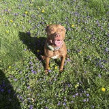 Entry image for Lottie