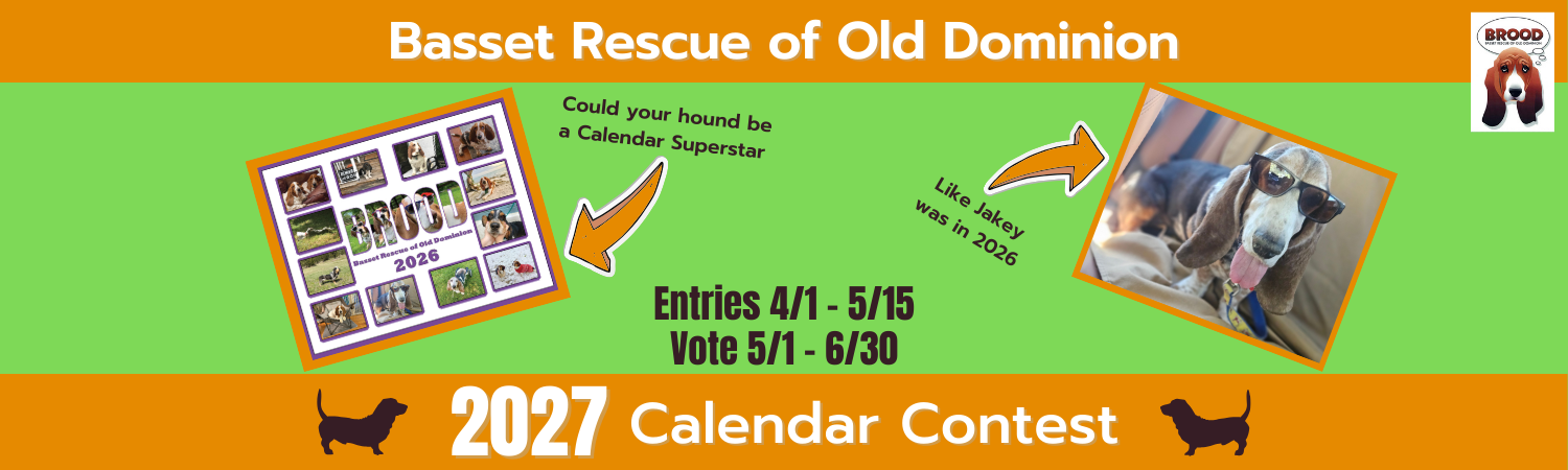 Banner for BROOD 2027 Calendar Contest