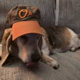 Entry image for Daisy