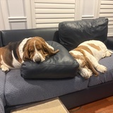 Entry image for Daphne And Archie Anderson