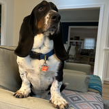 Entry image for George
