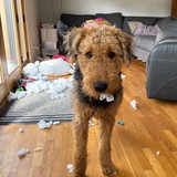 Entry image for Mater