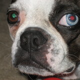 Entry image for Dublin