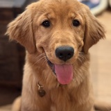 Entry image for Winnie