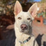 Entry image for Skye