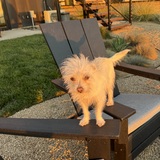 Entry image for Lucy