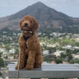 Entry image for Walter 