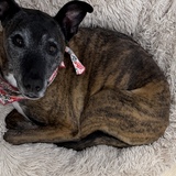 Entry image for Khali