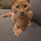 Entry image for FIYERO