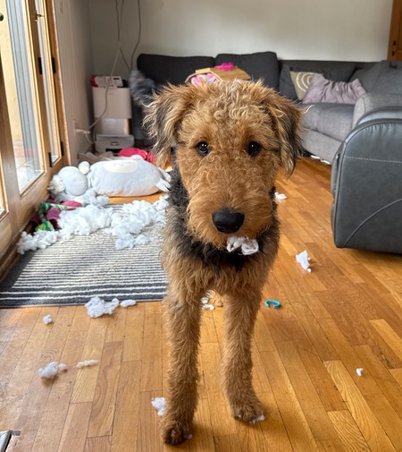 Entry image for Mater. Clicking this image will show a larger photo