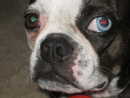 Entry image for Dublin. Clicking this image will show a larger photo