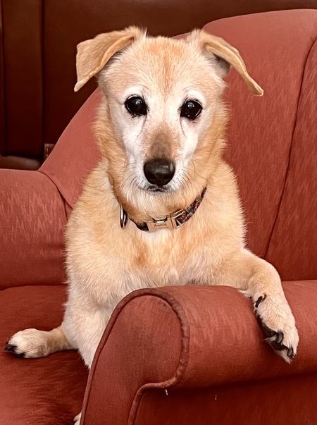 Entry image for Annie. Clicking this image will show a larger photo