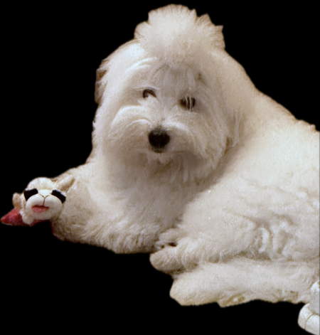 Entry image for Kumo ( Cloud in Japanese ). Clicking this image will show a larger photo