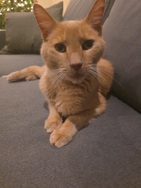 Entry image for FIYERO. Clicking this image will show a larger photo