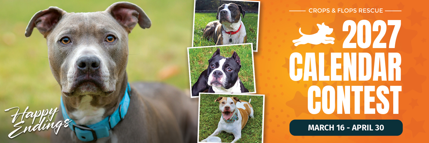 Banner for Happy Endings - From the Street Life to the Sweet Life