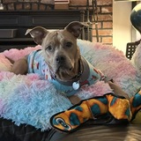 Entry image for Millie