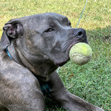 Entry image for Bubba Johnson