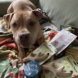 Entry image for Jesse James