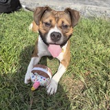 Entry image for Debbie