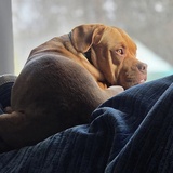 Entry image for Charlotte (Charli)