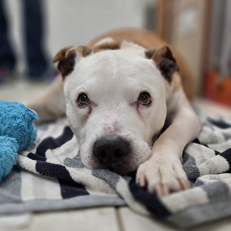 Entry image for Grandpa Joe. Clicking this image will show a larger photo