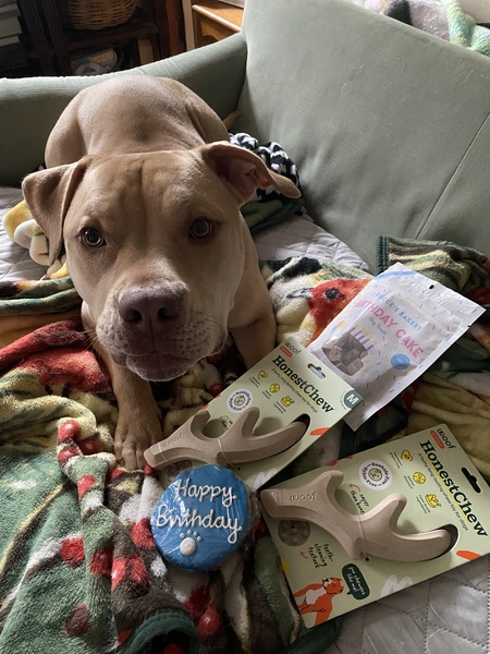 Entry image for Jesse James. Clicking this image will show a larger photo