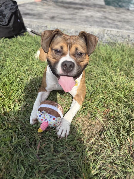 Entry image for Debbie. Clicking this image will show a larger photo