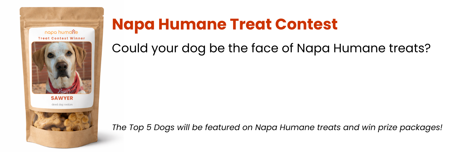 Banner for Napa Humane Dog Treat Label Contest