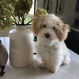 Entry image for Bentley