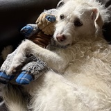 Entry image for Lu Lu Tu