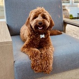 Entry image for Henley