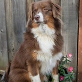 Entry image for Hermione 