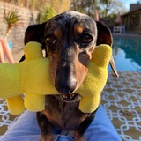 Entry image for Minnie 