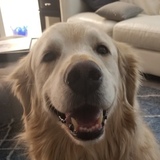 Entry image for Cooper