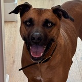 Entry image for Banks