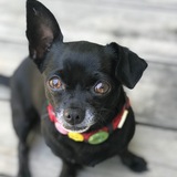 Entry image for Betty 