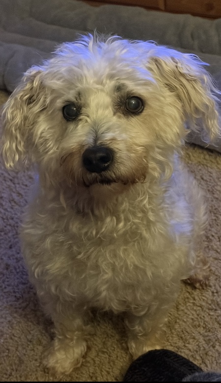 Entry image for Pete. Clicking this image will show a larger photo